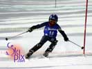Image ID is DSC_2590.jpg