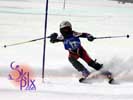 Image ID is DSC_2595.jpg