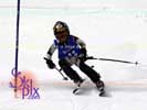Image ID is DSC_2597.jpg