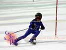 Image ID is DSC_2598.jpg