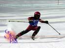 Image ID is DSC_2600.jpg