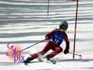 Image ID is DSC_2602.jpg