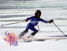 Image ID is DSC_2612.jpg