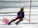 Image ID is DSC_2614.jpg