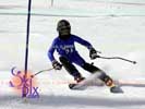 Image ID is DSC_2617.jpg