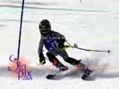 Image ID is DSC_2619.jpg