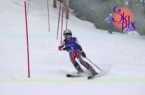 Image ID is DSC_8017.jpg