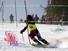 Image ID is DSC_2509.jpg