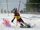 Image ID is DSC_2515.jpg