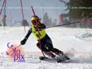 Image ID is DSC_2517.jpg