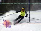 Image ID is DSC_2518.jpg