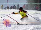 Image ID is DSC_2519.jpg