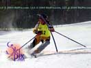 Image ID is DSC_2520.jpg
