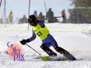 Image ID is DSC_2521.jpg
