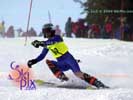 Image ID is DSC_2527.jpg