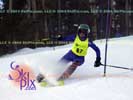Image ID is DSC_2528.jpg