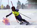 Image ID is DSC_2529.jpg