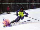 Image ID is DSC_2530.jpg