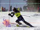 Image ID is DSC_2531.jpg
