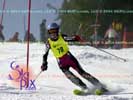 Image ID is DSC_2533.jpg