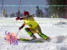 Image ID is DSC_2537.jpg