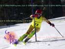 Image ID is DSC_2538.jpg