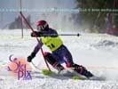 Image ID is DSC_2539.jpg
