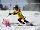 Image ID is DSC_2543.jpg