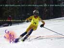 Image ID is DSC_2544.jpg