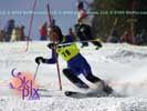 Image ID is DSC_2547.jpg