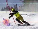 Image ID is DSC_2555.jpg