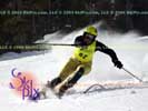 Image ID is DSC_2556.jpg