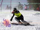 Image ID is DSC_2557.jpg