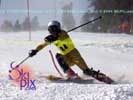 Image ID is DSC_2559.jpg