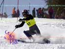 Image ID is DSC_2563.jpg