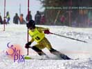Image ID is DSC_2565.jpg