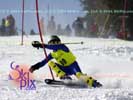 Image ID is DSC_2569.jpg