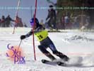 Image ID is DSC_2446.jpg