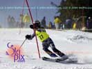 Image ID is DSC_2448.jpg