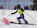 Image ID is DSC_2450.jpg