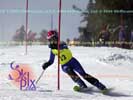 Image ID is DSC_2460.jpg