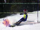 Image ID is DSC_2461.jpg