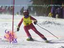 Image ID is DSC_2462.jpg
