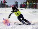 Image ID is DSC_2494.jpg