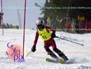 Image ID is DSC_2496.jpg