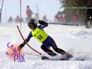 Image ID is DSC_2498.jpg