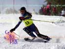 Image ID is DSC_2500.jpg