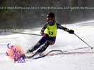 Image ID is DSC_2501.jpg