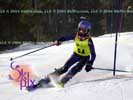 Image ID is DSC_2503.jpg