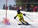 Image ID is DSC_2504.jpg